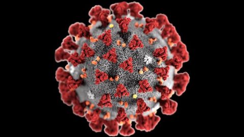 Alle laufenden Maßnahmen unterbrochen wegen Ausbreitung von neuartigem Coronavirus