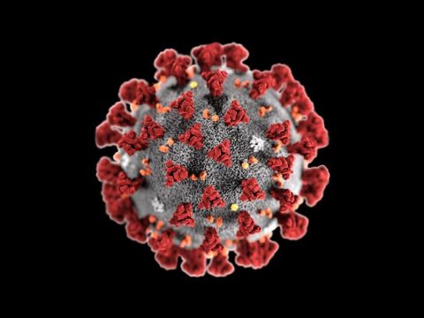 Alle laufenden Maßnahmen unterbrochen wegen Ausbreitung von neuartigem Coronavirus